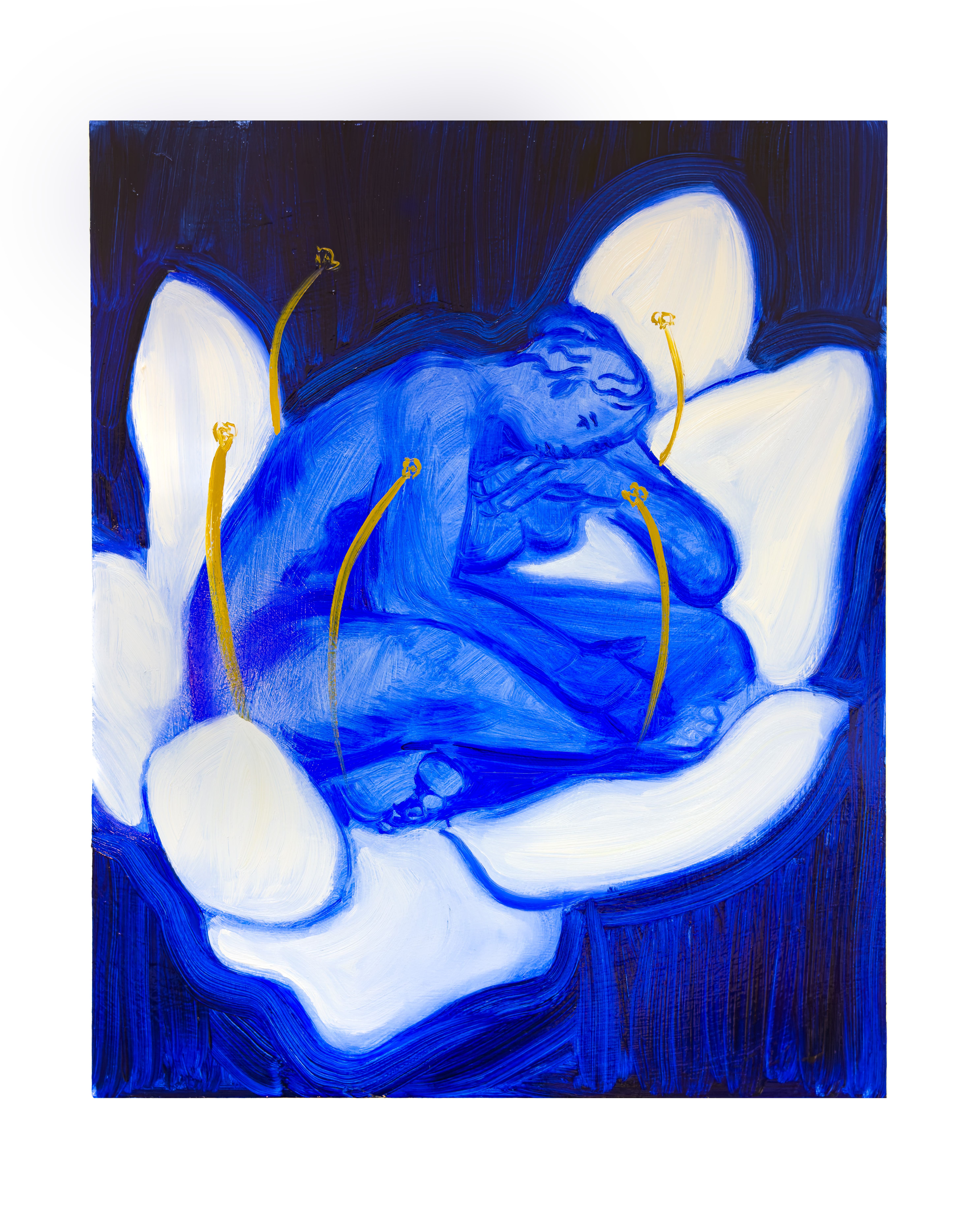 Night Bloom, 2025 — Oil on canvas, 40 × 50 cm, by Chloe Murphy